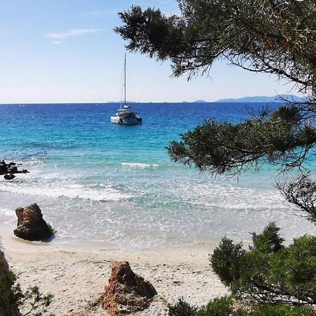 Studio Avec Terasse Vue Mer Porticcio  Dış mekan fotoğraf