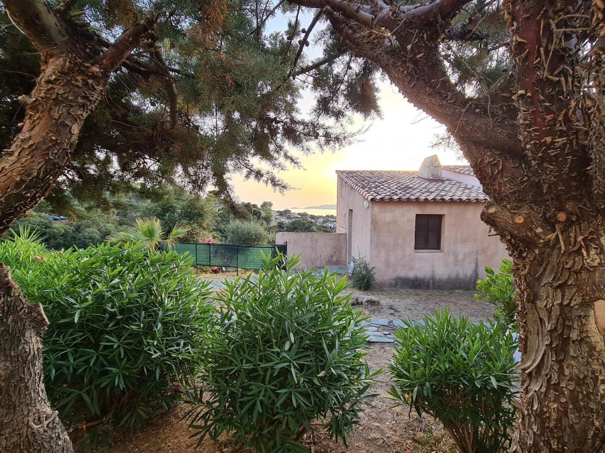 Studio Avec Terasse Vue Mer Porticcio  Dış mekan fotoğraf