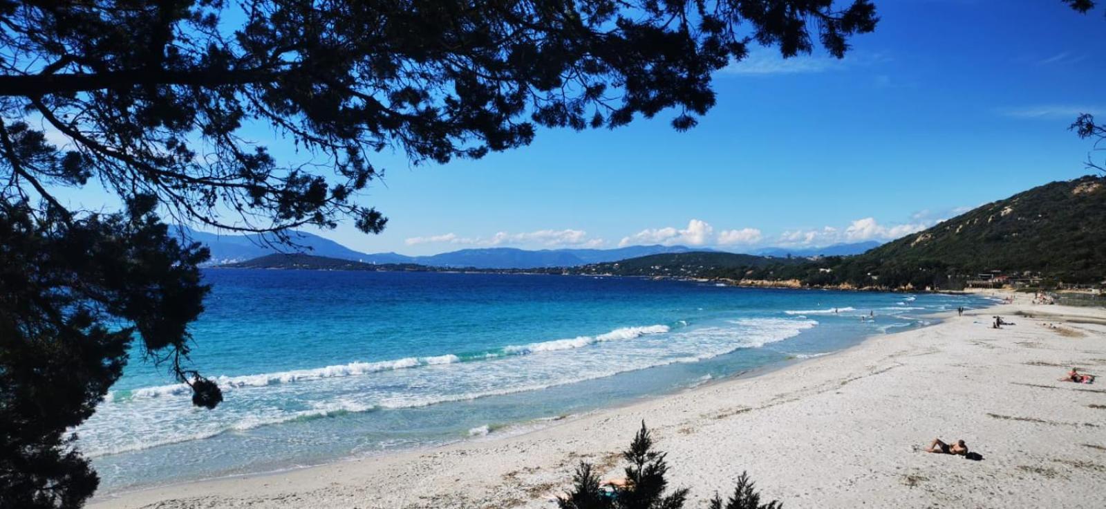 Studio Avec Terasse Vue Mer Porticcio  Dış mekan fotoğraf